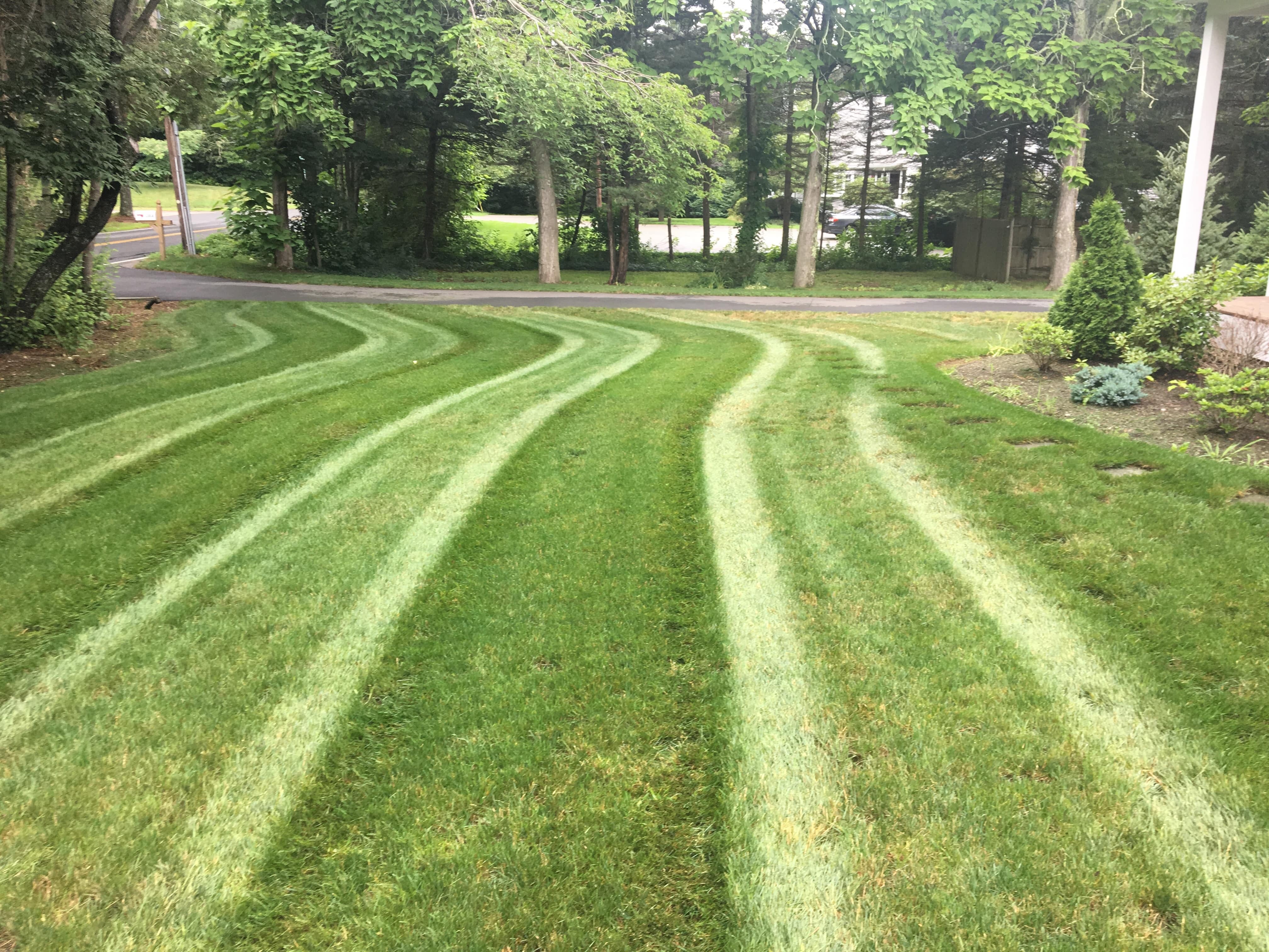 Sierra Hills Landscaping