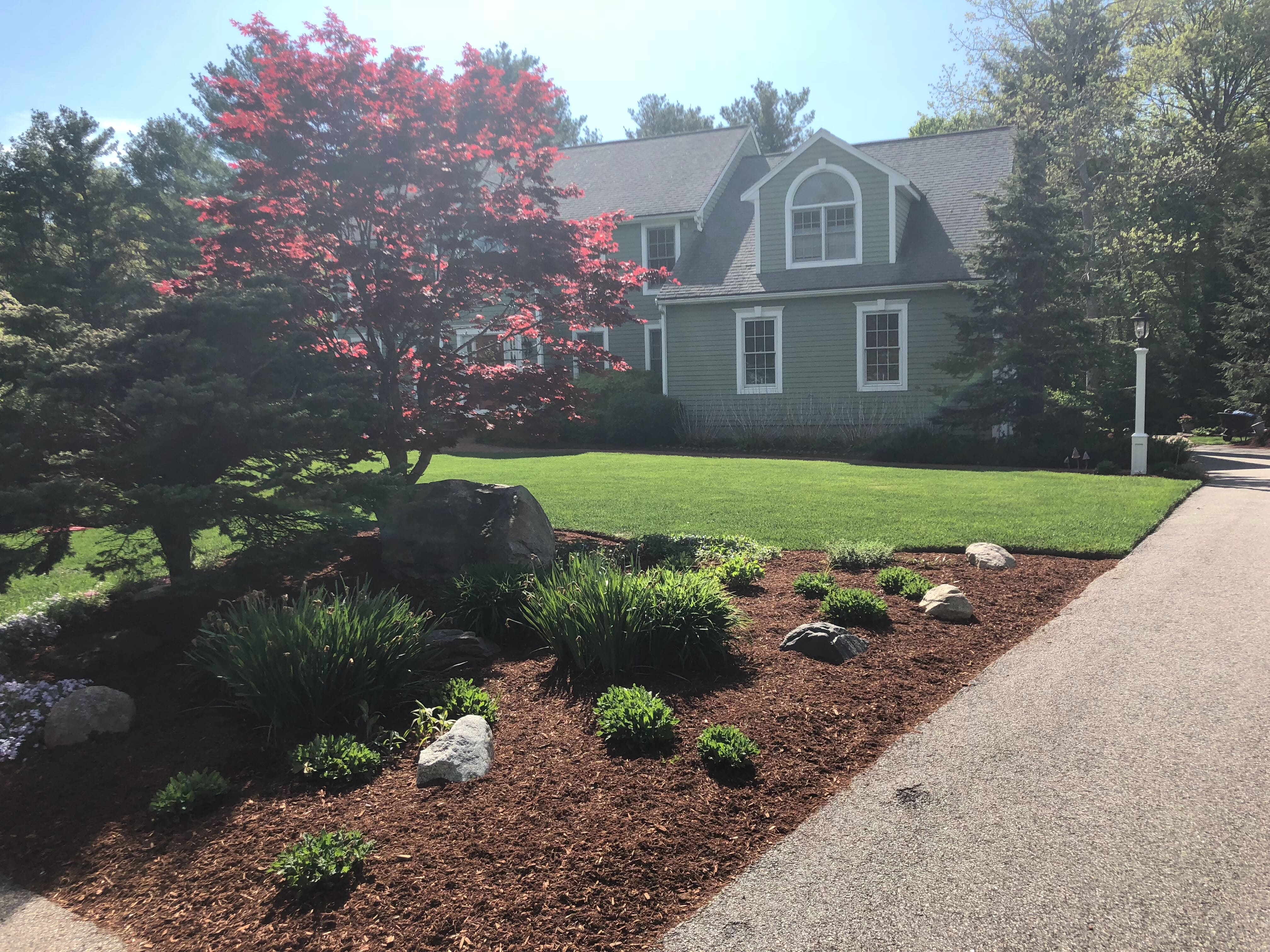 Sierra Hills Landscaping