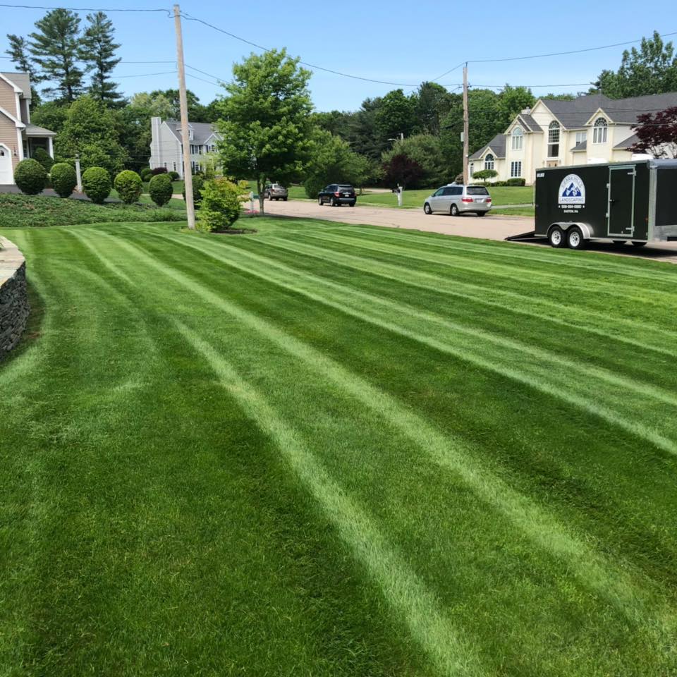 Sierra Hills Landscaping